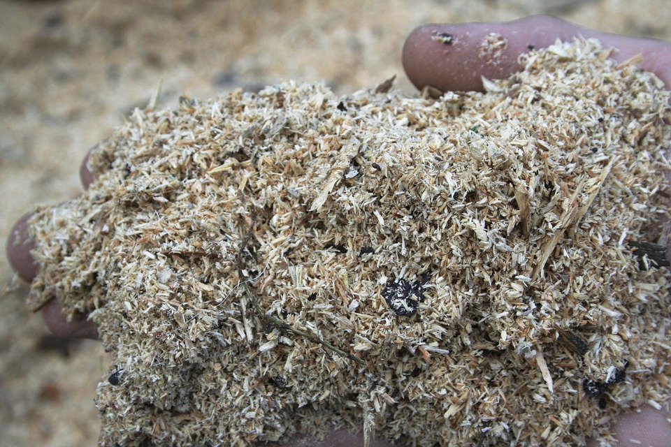sawdust used for ceylon cinnamon