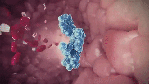 Benefit of Ginger has been linked to heart health