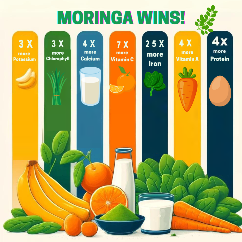 Moringa Olefeira Leaves are the Ultimate Nutrient Dense Superfood