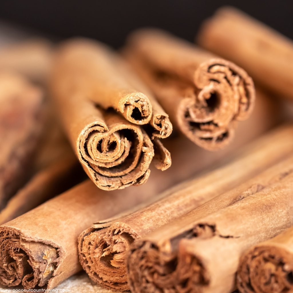 ceylon cinnamon for gut health