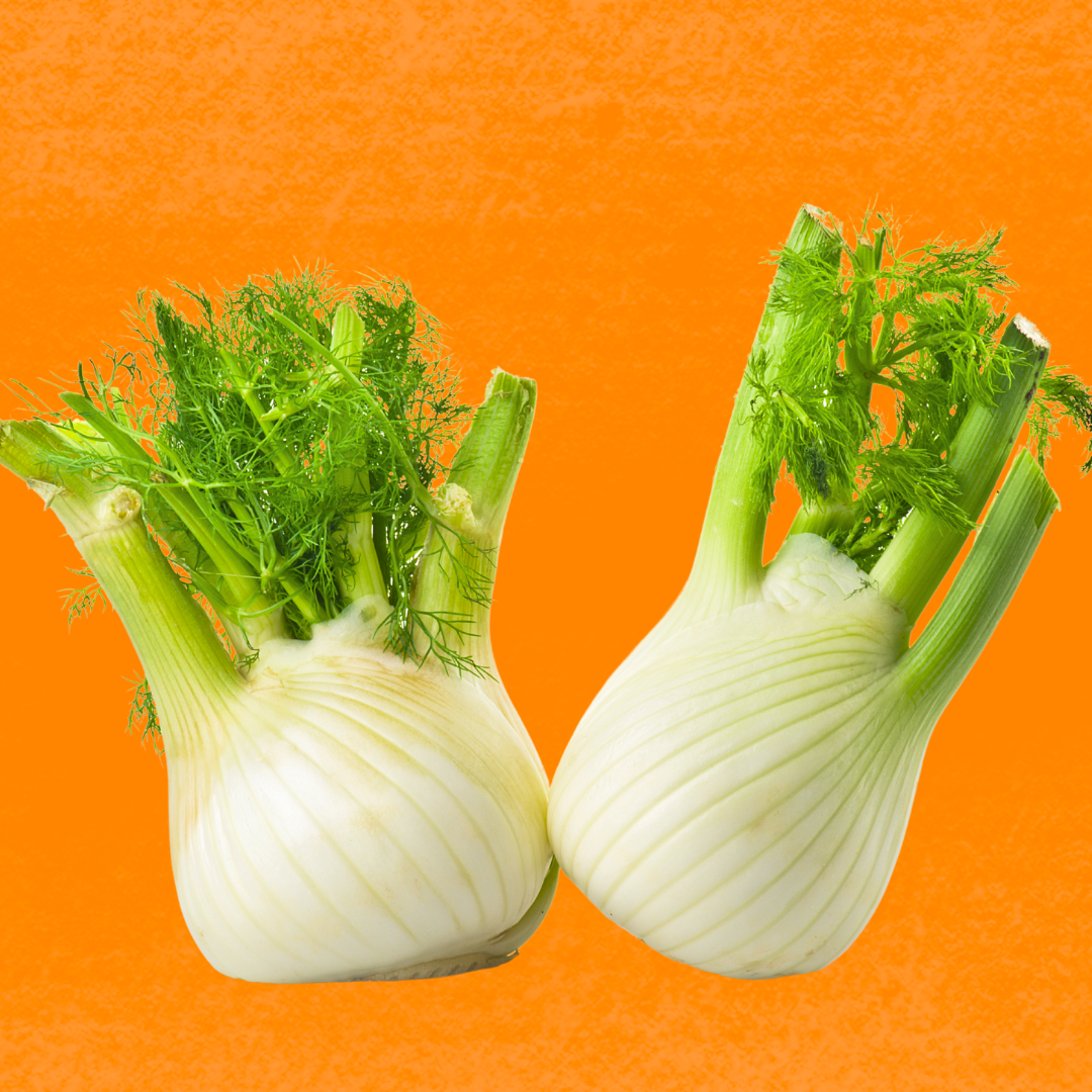 fennel for digestive health